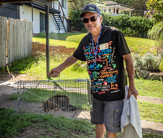 rspca volunteer jeff rescues possum